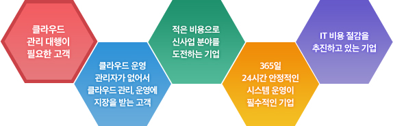 클라우드 운영 관리자가 없어서 클라우드 관리 및 운영에 지장을 받는 고객, 적은 비용으로 신사업 분야를 도전하는 기업, 365일 24시간 안정적인 시스템 운영이 필수적인 기업, IT 비용 절감을 추진하고 있는 기업